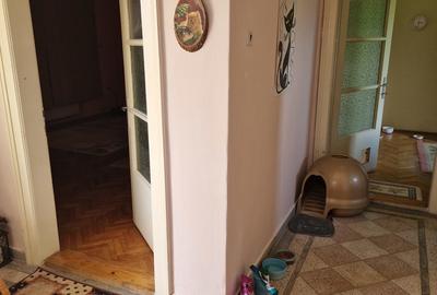 Casă cu 4 camere cu Teren 723 Mp în Victoria - 9
