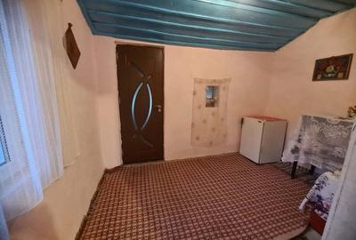 Casă cu 3 camere cu Teren 2100 Mp în Scorțaru Nou - 6