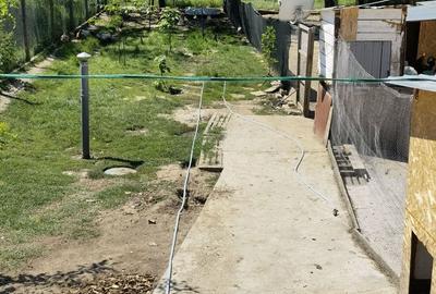 Casă individuală cu 3 camere cu Teren 662 Mp în Periam - 14
