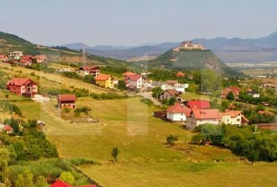 Casă cu 5 camere cu Teren 6700 Mp în Central - 11