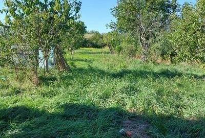 Casă în Horlești - 3