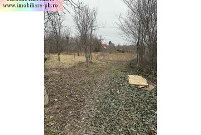Casa de vanzare : Inotesti-(Comuna Colceag) - 3