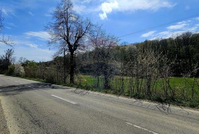 Teren Construcții intravilan de 10000 mp, în Nemțișor - 11