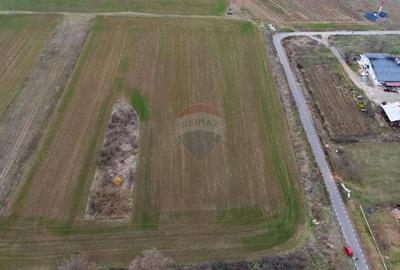 Teren de 6400 mp, în Miniș - 3