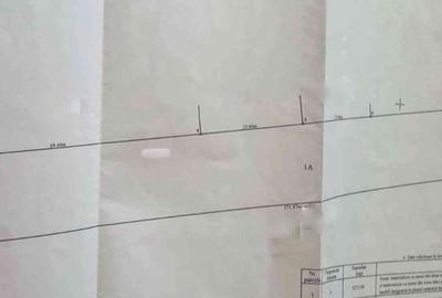 Spațiu comercial, în Valea Lupului - 1
