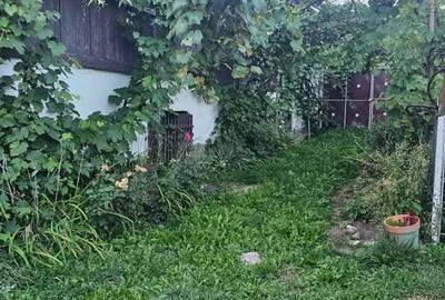 Casă cu 2 camere în Bunești - 8