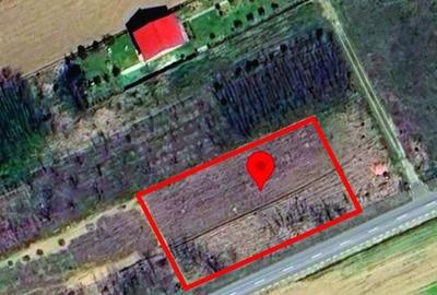Teren de 1850 mp, în Chiajna