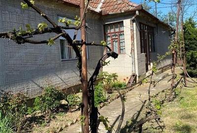 RECO Casa de renovat in Biharia - 2