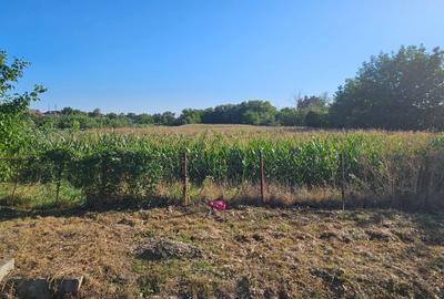 Gelu [Varias] – Teren Intravilan - 2