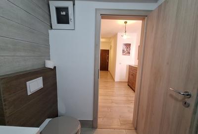 Apartament cu 2 camere decomandat, mobilat în Aradului - 14