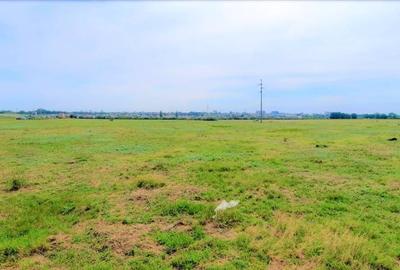 OCAZIE ! EFORIE NORD, ULTIMELE 3 LOTURI, 517 MP. 19.500 EURO IDEAL INVESTITIE ! - 13