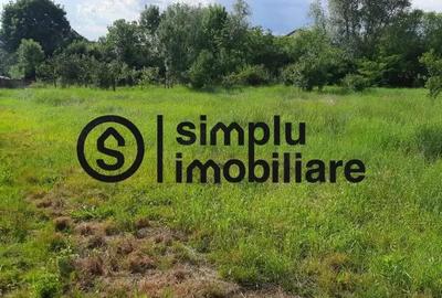 Teren intravilan, Isalnita - 3