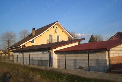 Casă cu 4 camere cu Teren 1100 Mp în Unirea - 9