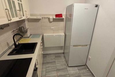 Apartament cu 2 camere decomandat în Timișoara - 5