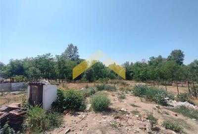 Casa la sol de vanzare Zimandu Nou - 7