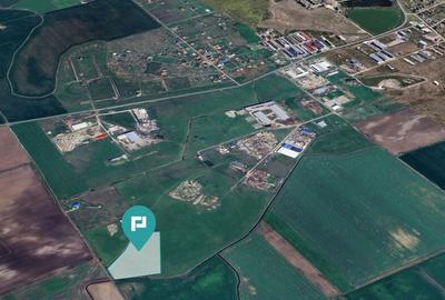 Teren intravilan de 26,606mp Sacalaz - 17