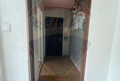 Apartament cu 2 camere de vanzare in zona Brazda lui Novac - 7