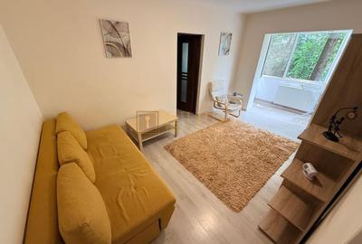 Apartament cu 2 camere semidecomandat, mobilat în Dacia - 6