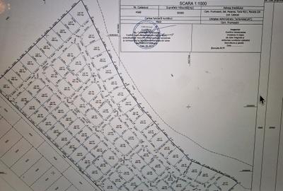 Teren Pasărea, Frumușani 343 mp Lot 80 RG 1, gaz, curent Dec 2025,