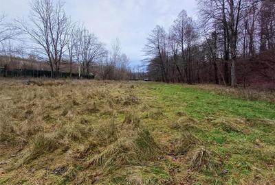 Resita, Teren Drept Intravilan, Langa Prau si Drum, Parcelab - 16