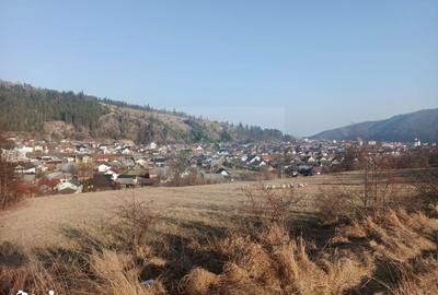 Teren de 3000 mp, în Curtești - 10