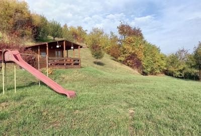 Spațiu comercial, în Viișoara - 1