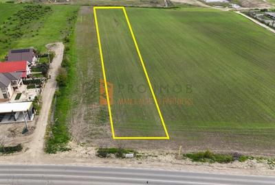 Teren Construcții intravilan de 5000 mp, în Vernești - 1