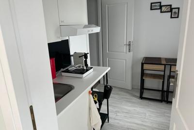 Apartament cu 5 camere decomandat, mobilat în Dorobanți - 11