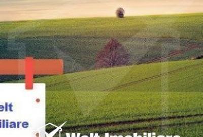 Spațiu comercial, în Chinteni - 1