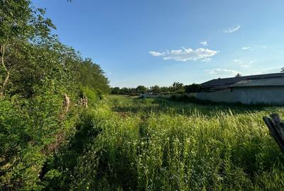 Teren intravilan, 8700m2, oportunitate investitie, Baicoi, Prahova - 2