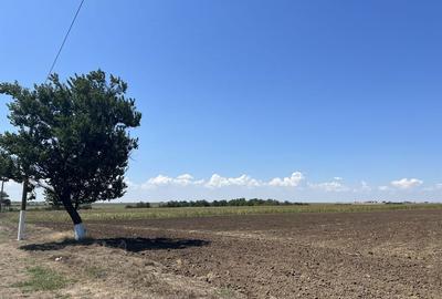 Spațiu comercial, în Năvodari Tabără - 2