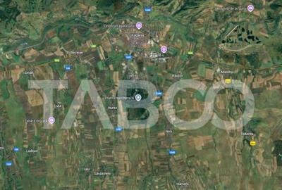 Teren de 485083 mp, în Făgăraș - 1