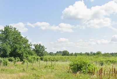 Spațiu comercial, în Ogrăzile - 2