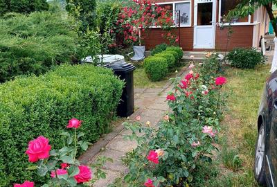 Casă cu 3 camere în Ivănești - 8