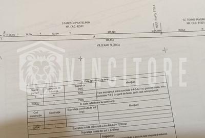 Teren Construcții intravilan de 7295 mp, în Mărăcineni - 1