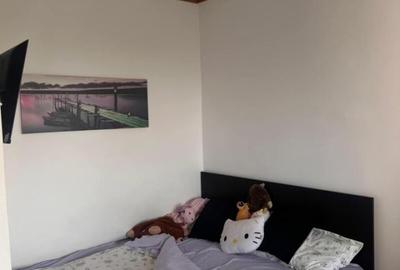 Berceni Luica ideal credit bancar - 2