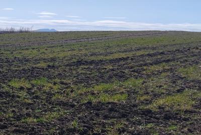 Teren de 5800 mp, în Aiton - 3