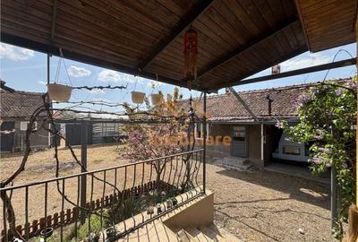 Casă cu 4 camere cu Teren 5526 Mp în Cociuba Mare - 7