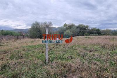 Teren de 800 mp de vanzare la asfalt cu toate utilitatile - 2