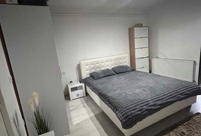 Garsonieră decomandată în Exterior Vest - 4