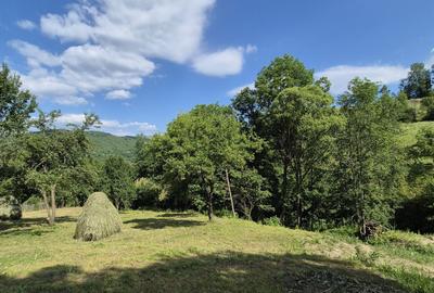 Teren de 2900 mp, în Secăria - 6