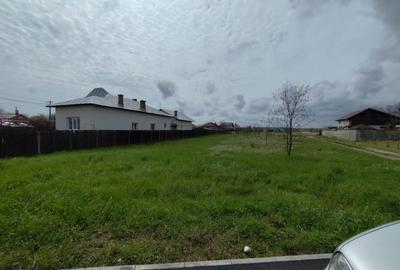 TEREN DE VANZARE BRADU - 3