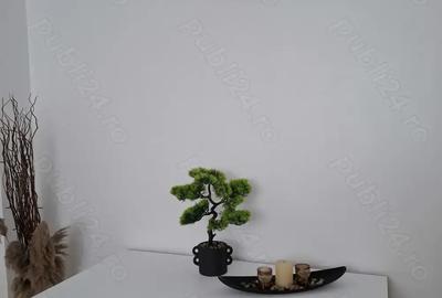 Inchiriez apartament 1 camera pe ?oseaua Buzaului, scoala 2 Inchiriez apartament 1 camera pe ?oseaua Buzaului, scoala 2 - 6