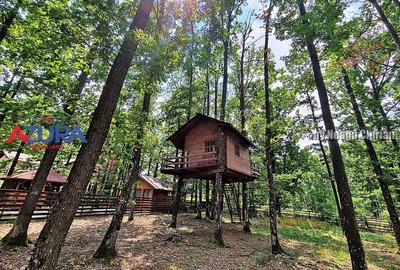 Casă de vacanță în pădure, 10 km de Pitești - Babana - 16
