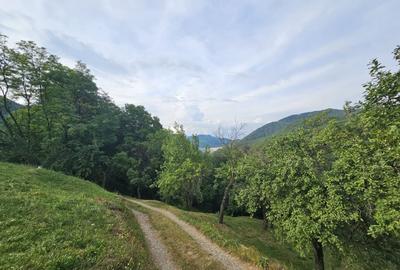 TEREN DE VANZARE SECIURI - 5