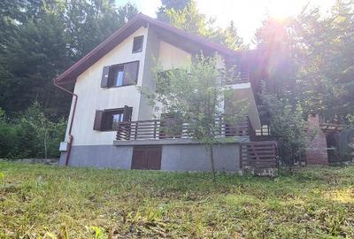 Vila Predeal New 2025 - 10