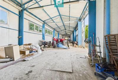 Cladire cu 5 camere cu teren ?i hala in Cenad - 20