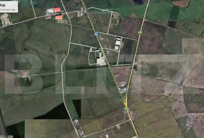 Teren cu suprafata de 10000 mp, in zona Sanandrei - 2