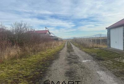 Teren de 1105 mp, în Sânpetru