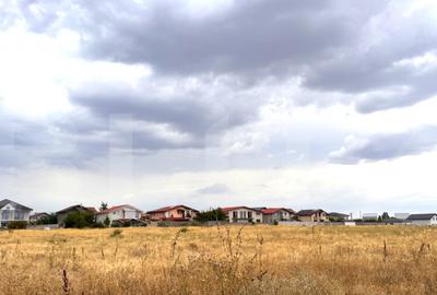 Teren de 1000 mp, în Central